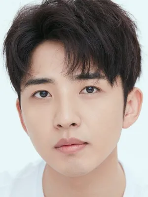 Li Zhengjun