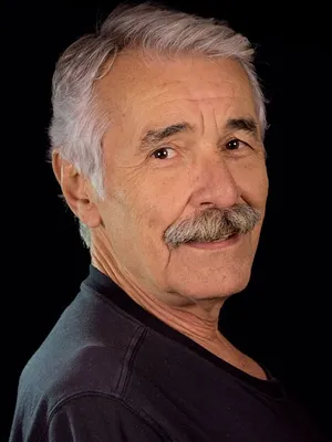 Ali İpin