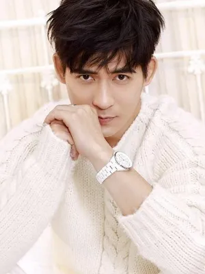 Vic Chou