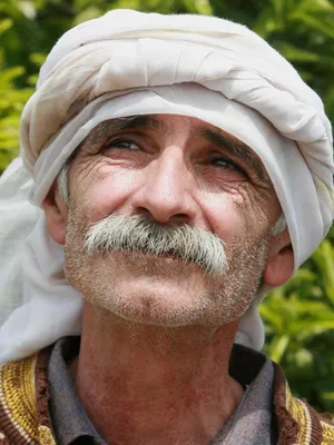 Tarik Kopty