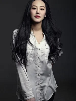 Gao Liwen