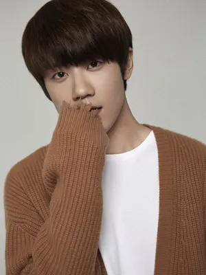 Zhou Chengao