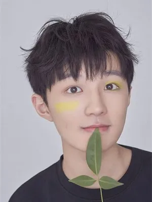 Xiong Wenwen