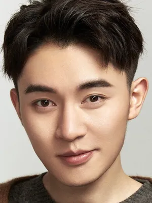 Zhang Linqing