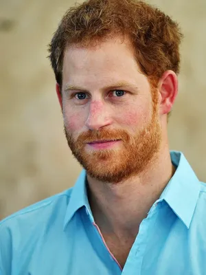 Prince Harry, Duke of Sussex