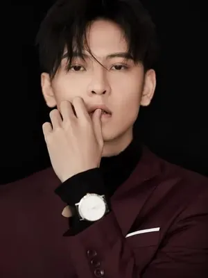 Chen Junxi