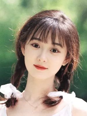 Yang Teng
