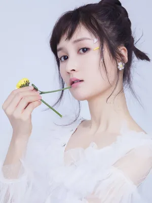 Li Nuo