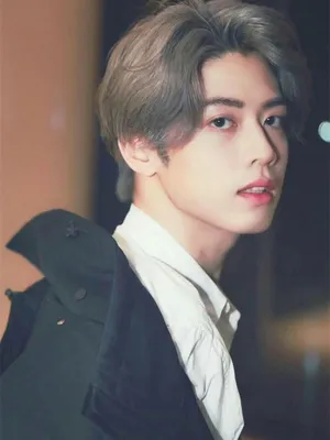 Qin Zimo