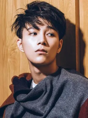 Yang Tingdong