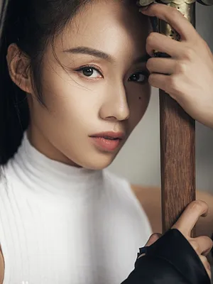 Cheng Qi