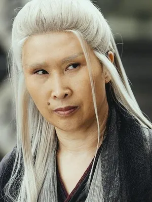 Zhang Xiaoying