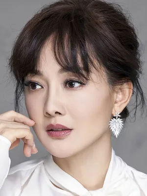 Niu Li