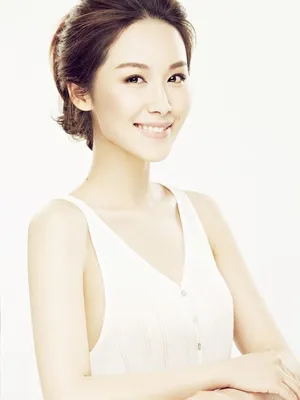 Chengyuan Li