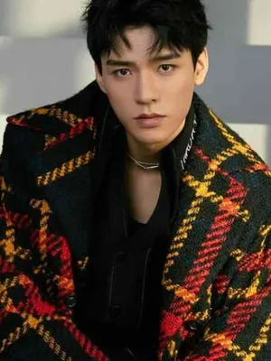 Gong Jun