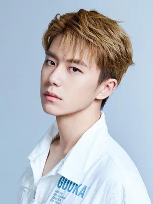 Pan Luyu