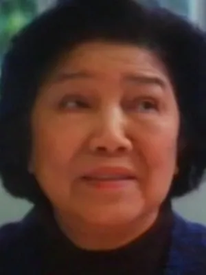 Hui Fan