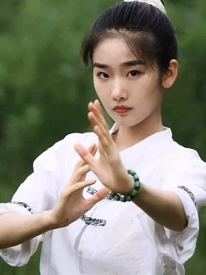 Qi Tianqing