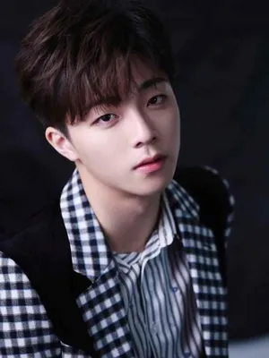 Chen Linong