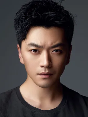 Li Zhenglin