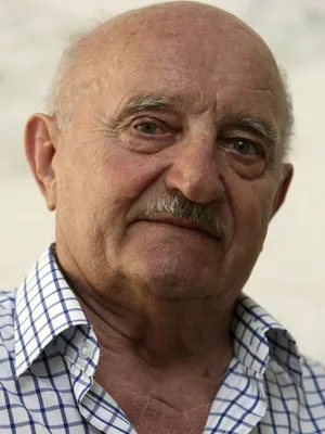 Josef Somr