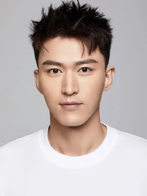 Li Junfeng