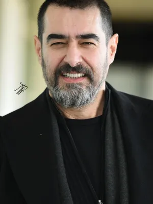 Shahab Hosseini