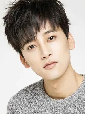 Feng Junxi