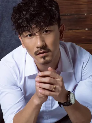 Liu Fengchao