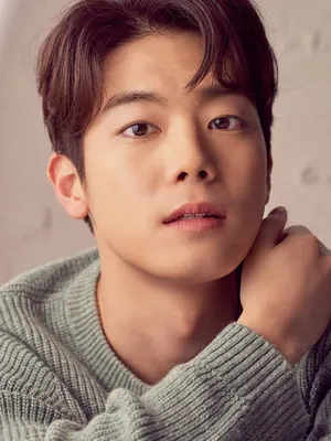 Choi Chan-ho