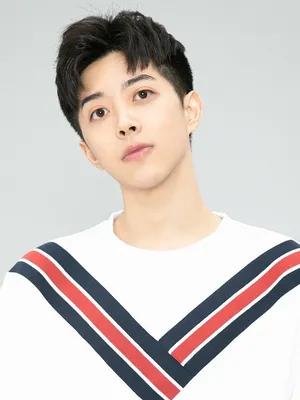 Zhu Junlin