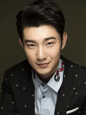 Ma Jiaming