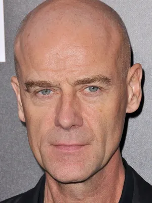 Pip Torrens