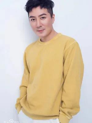 Wang Jing