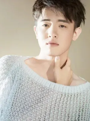 Ye Zicheng