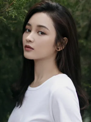 Wang Yifei
