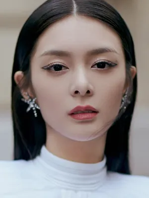 Fu Jing