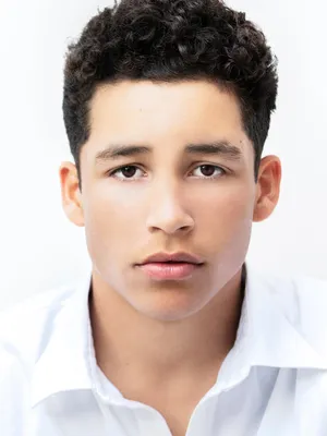 Andrew Liner