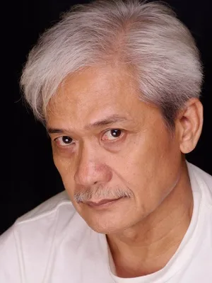Pen Medina