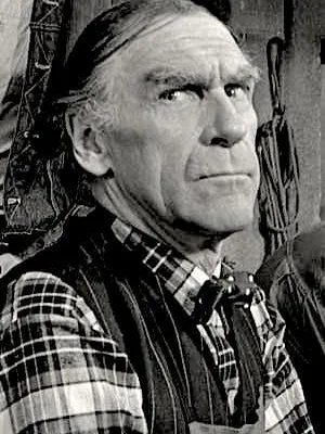 Arne Bang-Hansen