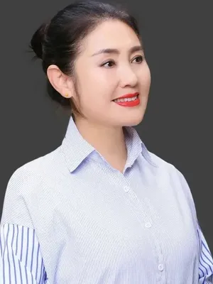 Ai Ping