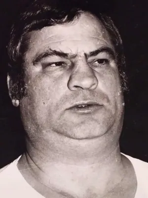 Ennio Antonelli