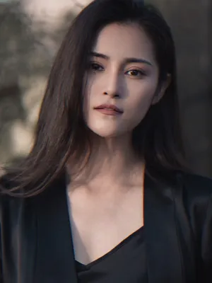 Tian Leixi