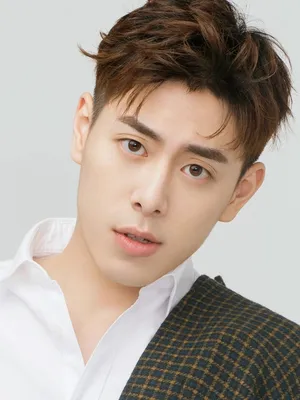 Wang Hefan