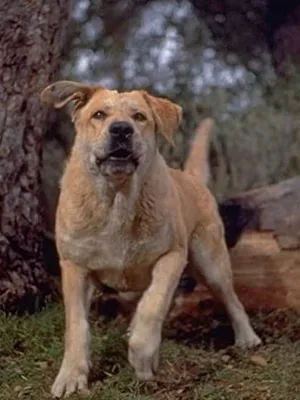 Spike