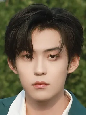 Zhang Jingyun
