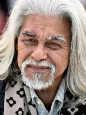 Wan Hanafi Su