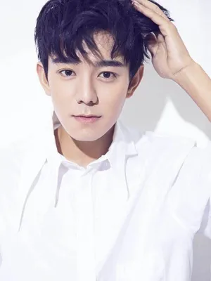 Liu Yihong