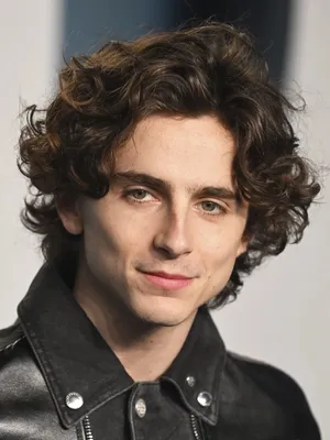 Timothée Chalamet