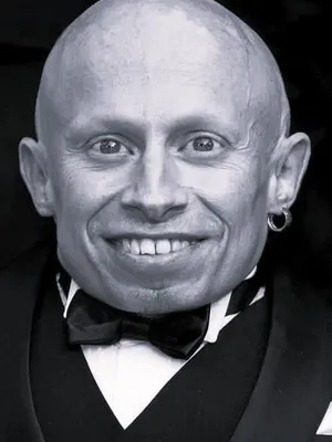 Verne Troyer